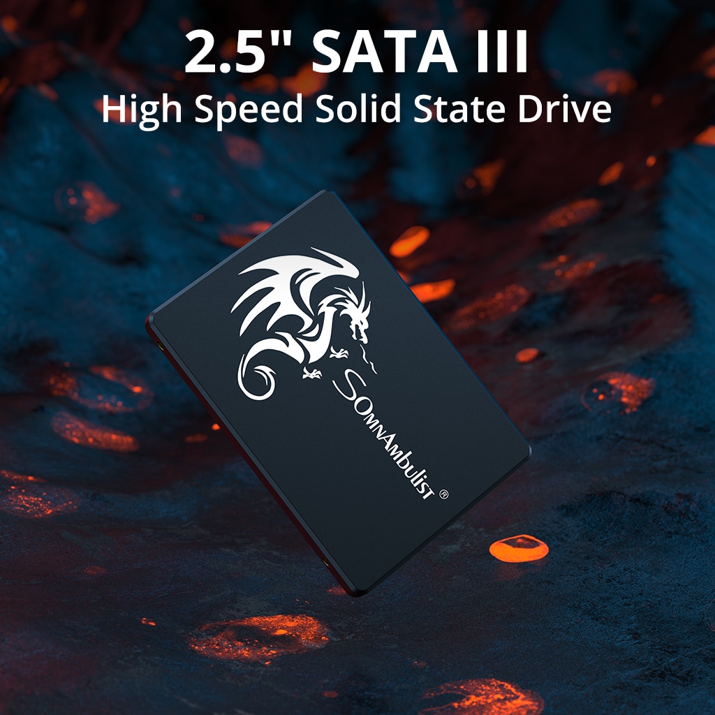 Somnambulist ssd 120gb 240gb 4 – Ssd 500Gb Bewertung und Preis